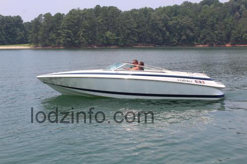 Cobalt 252 opinie i specyfikacja